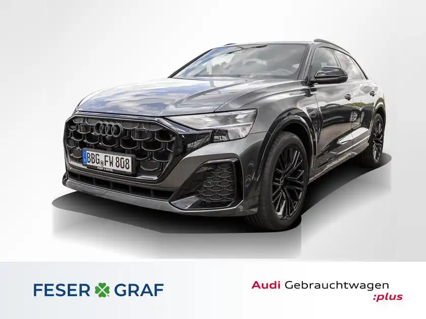 AUDI Q8 (1/11)