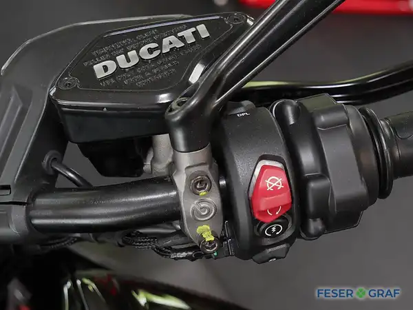 DUCATI DIAVEL (13/16)