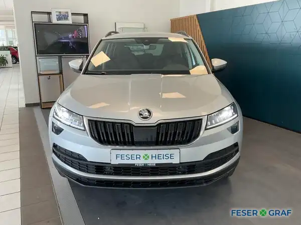 ŠKODA KAROQ (2/17)