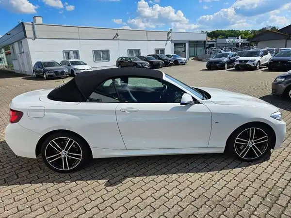 BMW 220 (5/32)