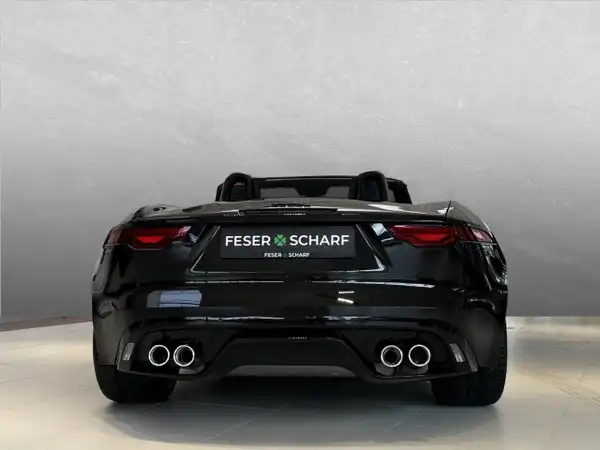 JAGUAR F-TYPE (7/9)