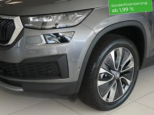 ŠKODA KODIAQ (12/14)