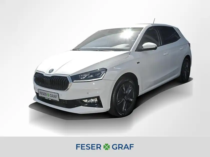 ŠKODA FABIA (1/17)