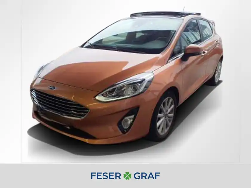 FORD FIESTA (1/10)