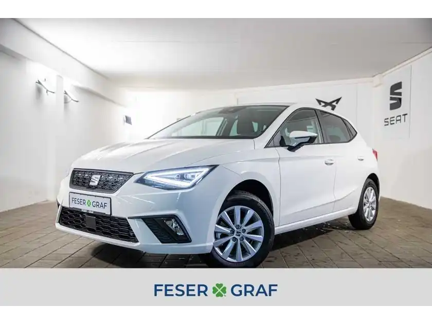 SEAT IBIZA (1/17)