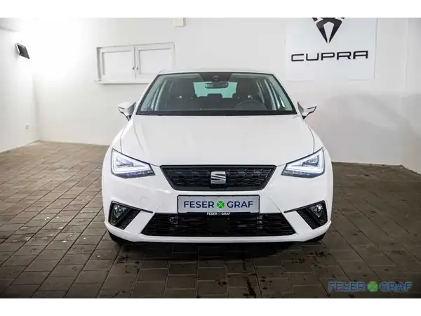 SEAT IBIZA (15/17)