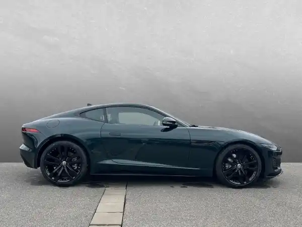 JAGUAR F-TYPE (6/9)